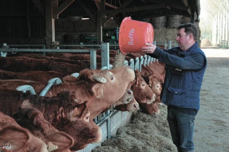 Bovins Croissance grandit !
L’organisme compte aujourd’hui 210 adhérents. Soit 3,5 % d’augmentation. 10 000 animaux sont désormais “filiés” par Bovins Croissance. Un chiffre en hausse de 10 %.