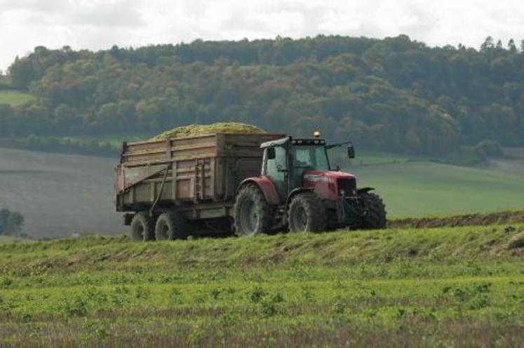 En fonction de la puissance des tracteurs, avoir des bennes de gros volume réduit les temps passés à l’ensilage.