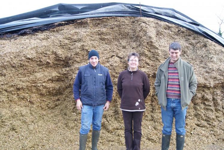 A l’earl de la Champagne (Millières), le front d’attaque du silo est juste découvert de son filet de protection pour alimenter les laitières.