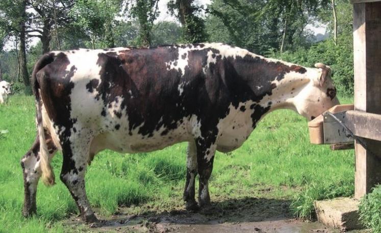 La prévention repose essentiellement sur l’identification des gîtes à limnées.