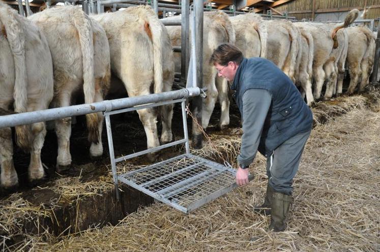 En une poignée de secondes, le “Sécuritable” est déployé. Il permet une intervention arrière confortable et sécurisée. Un équipement plus particulièrement apprécié des inséminateurs qui pratiquent jusqu’à 50 interventions par jour au plus fort de la saison.