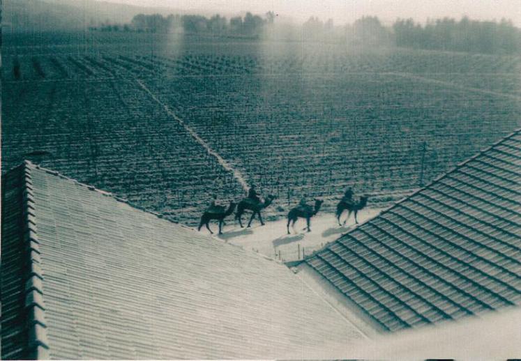 Fouille au corps au hasard d’une rencontre ou lors d’opérations ponctuelles. L’armée française cherchait des armes, des documents destinés au FLN. René n’a jamais rien trouvé.