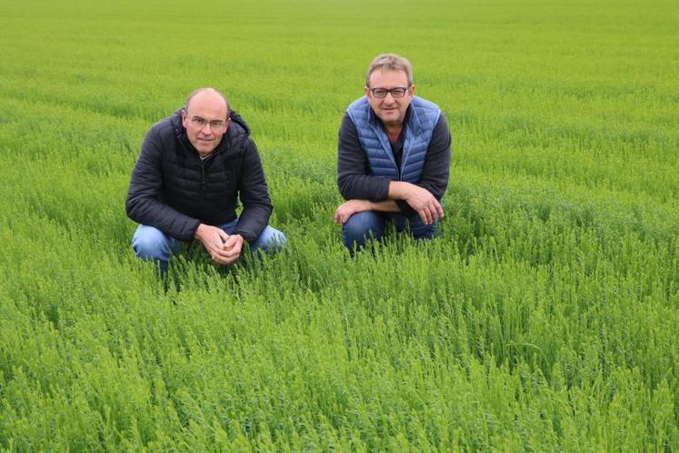 Marc Vandecandelaere et Henri Pomikal, vice-président et président de la Coopérative linière du nord de Caen, à Villons-les-Buissons. « Ce n’est pas une course, précisent-ils à propos de la randonnée, mais il faut quand même être sportif pour le parcours de 45 km.  DR»