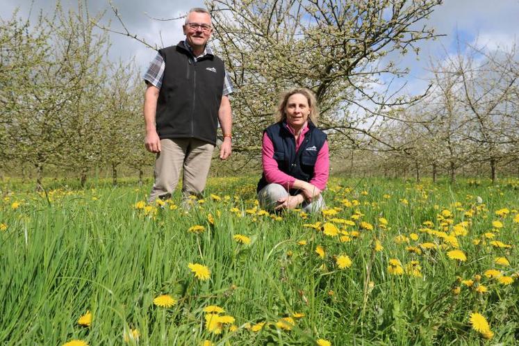 Emmanuel et Alexandra Gouello espèrent une belle récolte 2018 pour compenser les pertes dues au gel. Les exploitants, en bio, doivent aussi composer avec le retard des Mesures agro environnementales et climatiques (MAEC). DR