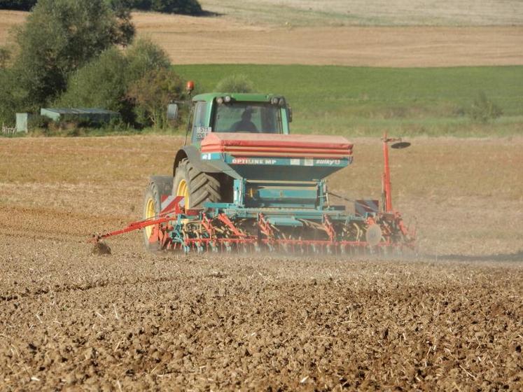 Les périodes de semis de colza commencent traditionnellement à partir du 20 août dans les secteurs les plus continentaux et s’échelonnent jusqu’au 5-10 septembre.