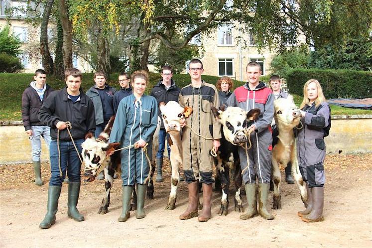 Catherine Cary (au fond, à droite) avec sa classe de terminales. Devant, les quatre génisses et certains des participants au concours Normandie avenir dimanche 29 octobre, à 10 h 30. DR