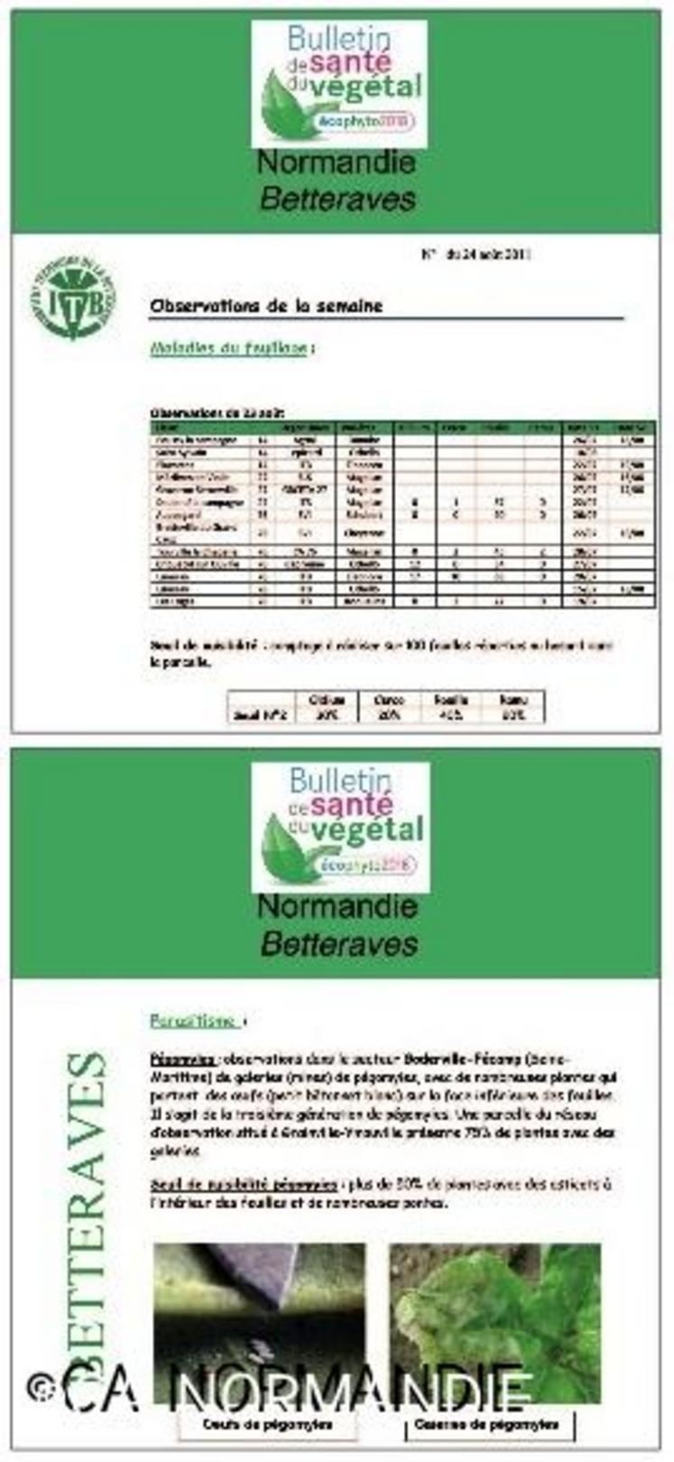 Pour exemple, le Bulletin de Santé du Végétal (BSV) Normandie betteraves.