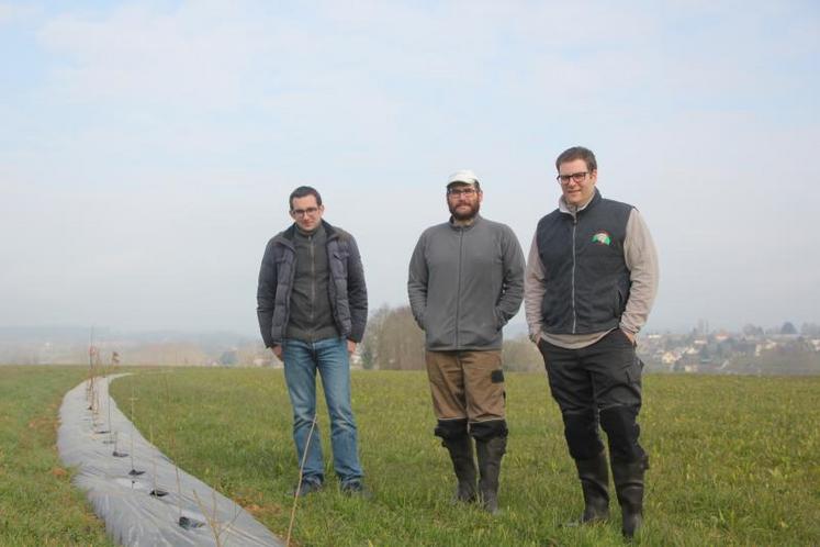 De gauche à droite : Luc Bertrand, chef de projet territorial à la Chambre régionale d’agriculture de Normandie ; Joseph et Ulysse Olivier, installés à Bazoches-sur-Hoëne (61). Ces derniers ont bénéficié de l’opération de plantation de haies organisée par la Cran et le Conseil départemental de l’Orne.