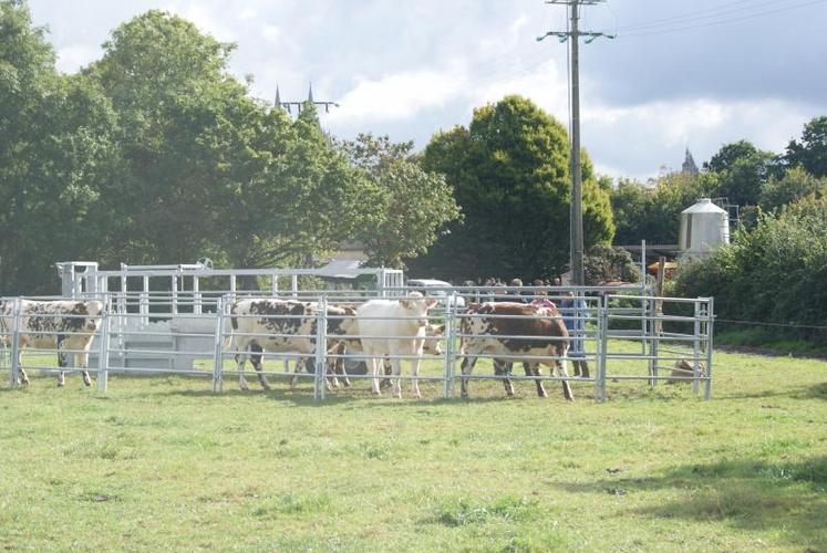 Le parc de contention, indispensable pour le rassemblement ou encore le tri des animaux