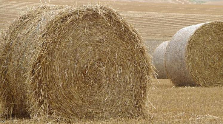 L'opération lancée par la FDSEA et la Chambre d'Agriculture insistent pour que les engagements en paille soient formalisés avant le 8 juillet prochain.