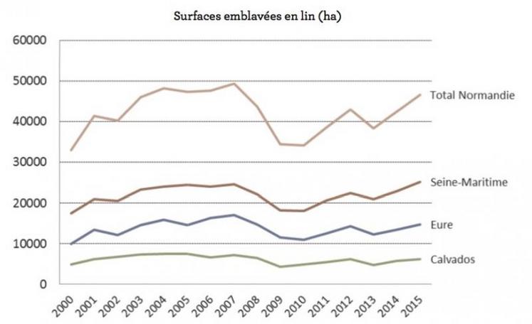 Après un palier entre 2004 et 2007, les surfaces utilisées pour la culture du lin ont diminué en 2009 et 2010, pour revenir maintenant à leur niveau du début des années 2000.