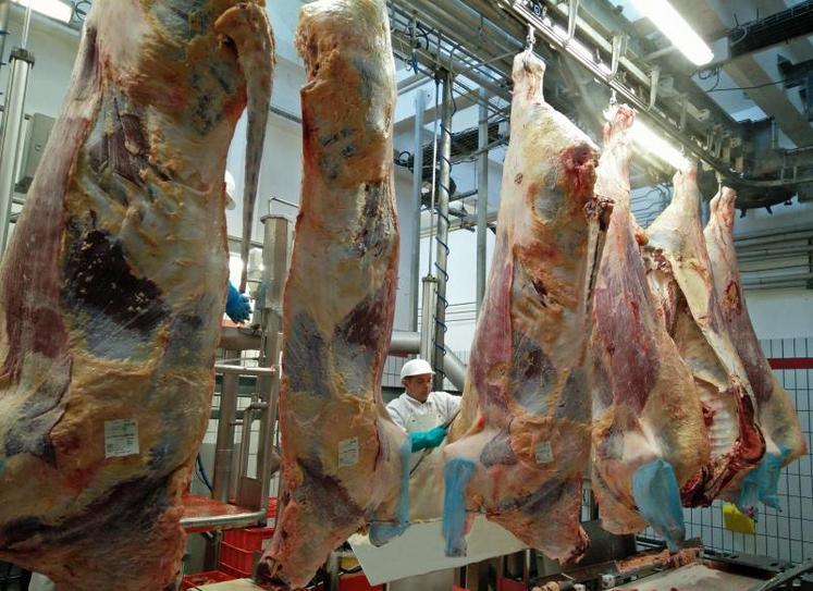 L’abattoir EVA situé à Saint-Pierre-sur-Dives (Calvados) ouvre ses portes dans le cadre de l’opération Made in viande conduite par l’interprofession Interbev. (DR)