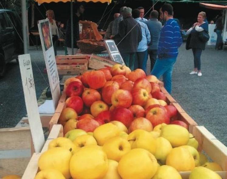 Fruits sur le premier marché à Saint-Maurice-en-Cotentin.
