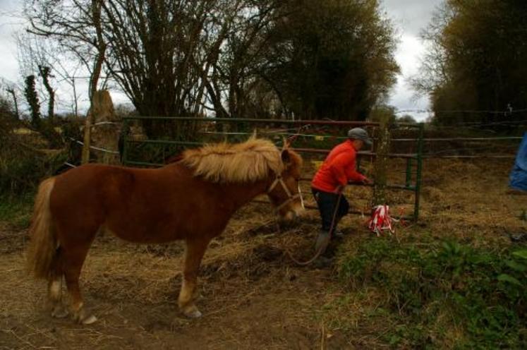 Agricultrice avant tout et fière de l’être, Nadine peut compter sur le coup de main de ses voisins, notamment Michel, producteur de lait, pour amener les rounds de foin. Elle se sent parfaitement intégrée dans le milieu agricole.