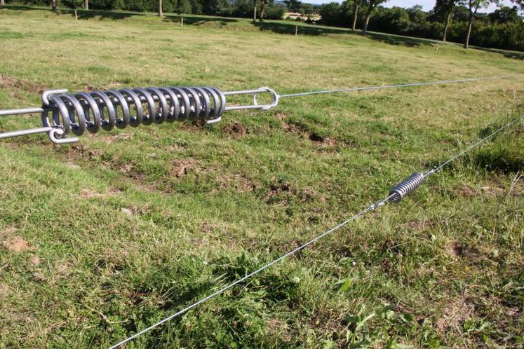 Détecteur de perte de clôture électrique Patura