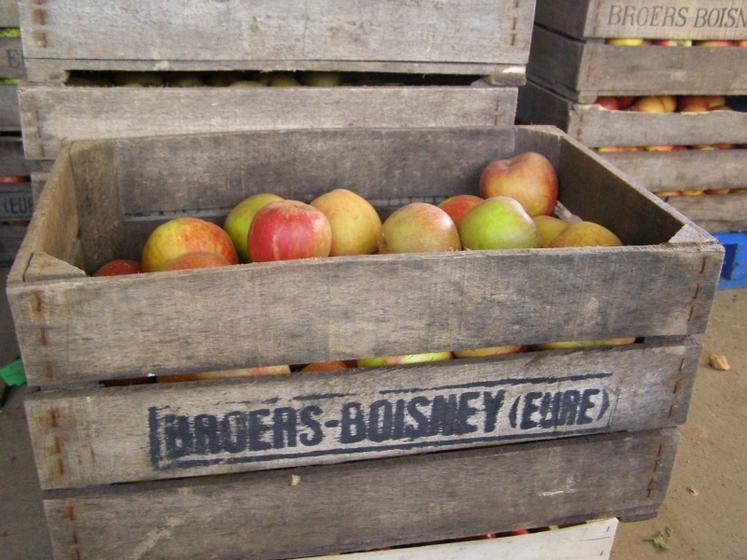 Hugues Huché vend également  du jus de pommes, produit à partir de son verger (crédit photo : LB)