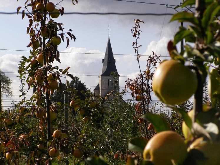 Les clients du magasin peuvent également trouver des pommes de terre et autres produits locaux (crédit photo : LB)