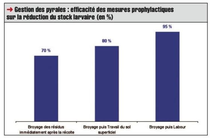Gestion des pyrales : efficacité des mesures prophylactiques sur la réduction du stock larvaire (en %)