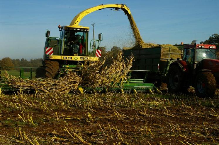 Afin de pourvoir comparer la tonne brute de MS rendue auge de l’ensilage de maïs à éventuellement des produits de substitution, il est important pour l’acheteur de rajouter au prix d’achat les frais de récolte (ensilage et transport) et un taux de pertes au silo.