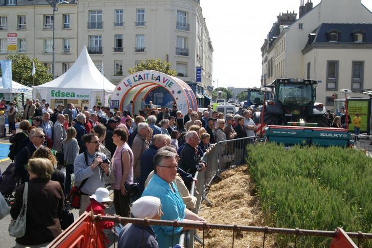 Dès samedi matin, la foule s'est massée autour des blés et de animaux, lors de cette fête du pain.