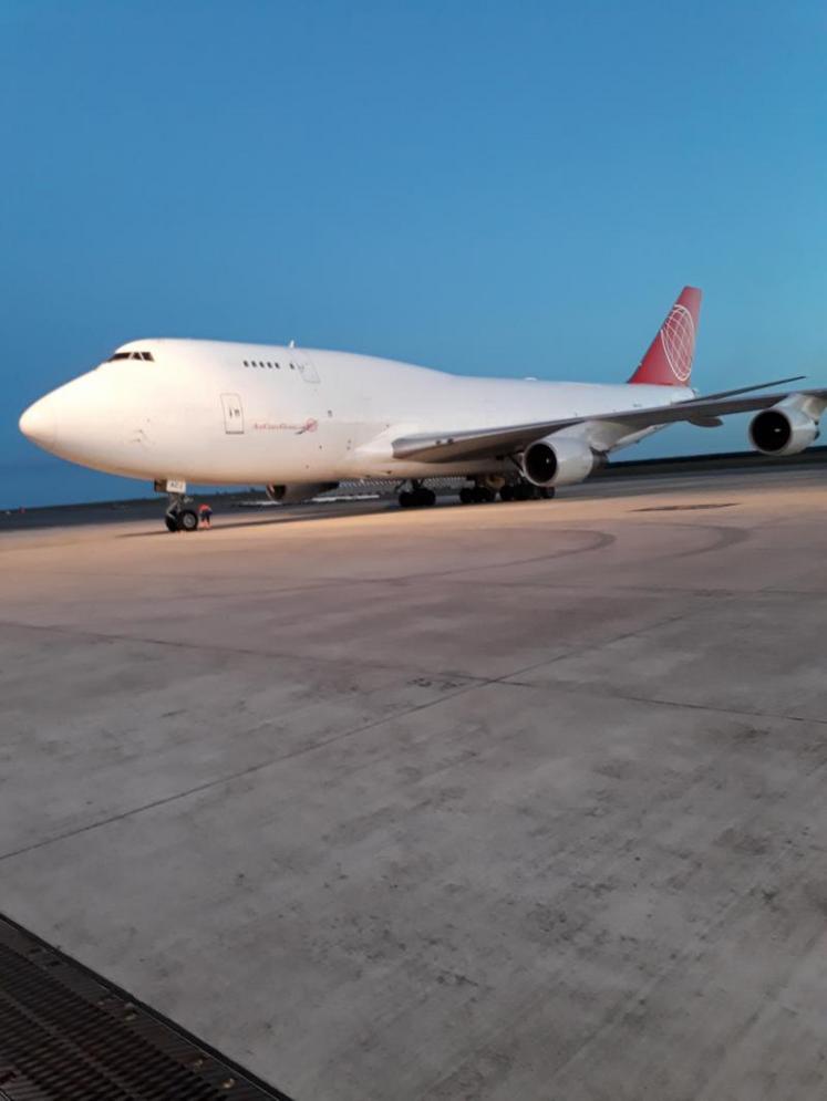 Les animaux sont partis à bord d’un Boeing 747. Ils ont été vendus au prix départ exploitation. DR