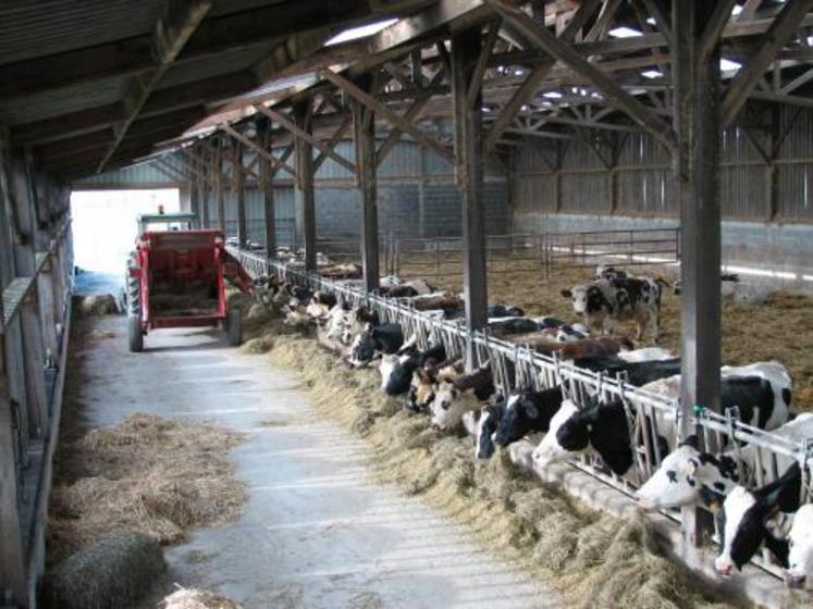 C'est une bonne gestion des postes aliments du bétail et surface fourragère qui permet d'observer dans le réseau un coût alimentaire de 70 € à 90 € selon les systèmes d'exploitation.