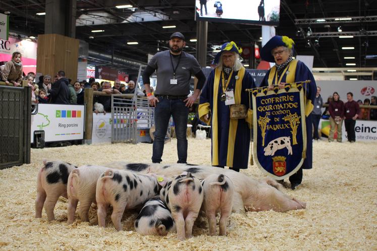 Salon de l'agriculture : tout savoir sur le bruit du cochon