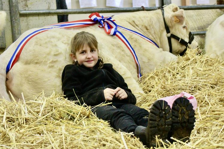 Loisirs créatifs, la tendance pour petits et grands - Paysans de la Loire,  média d'information agricole et rurale