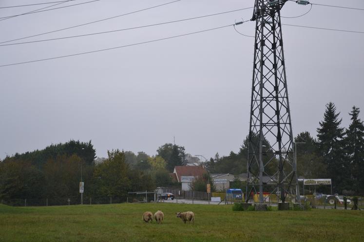 Hausse de l'énergie : aides aux entreprises - Chambre d'agriculture Allier