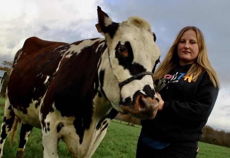 Salon de l'Agriculture 2024 : découvrez la vache élue nouvelle égérie du  salon 