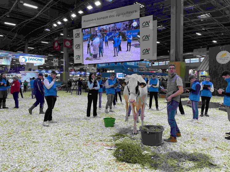 SIA 2024 trophée du meilleur pointeur en Prim’Holstein [LE POINTAGE