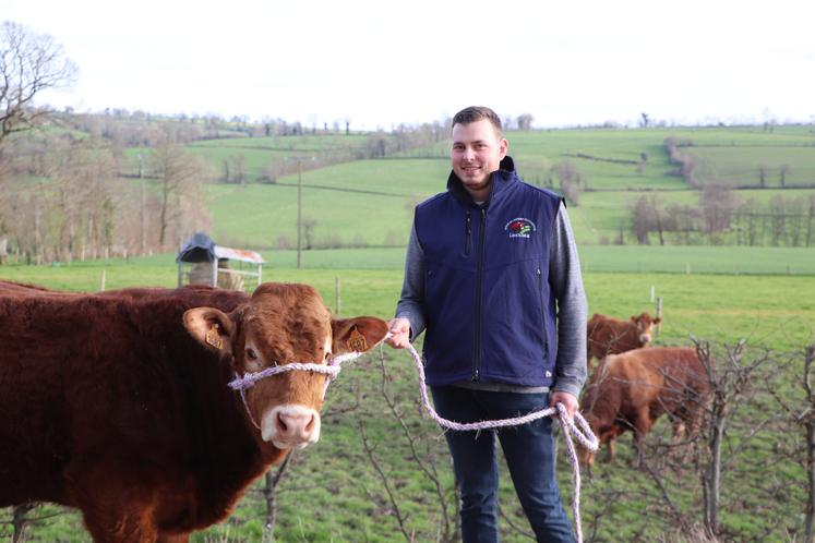 Romain Auvray éleveur de limousines à Valdallière - mars 2024