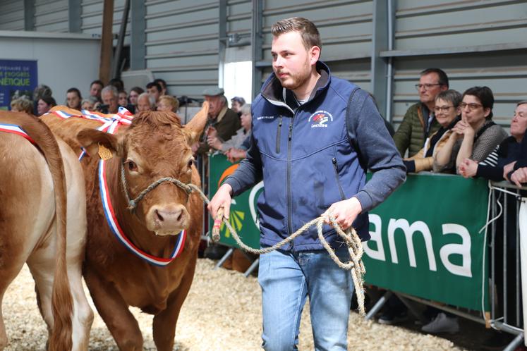 Romain Auvray a mené Radieuse, une vache issue du cheptel de son père (Gaec de l'Allière), lors de l'édition 2023 de la Foire de Lisieux. La génisse a été sacrée championne femelle adulte. De son côté, il a concouru pour la première fois à son compte avec Superbe, seconde de sa section.