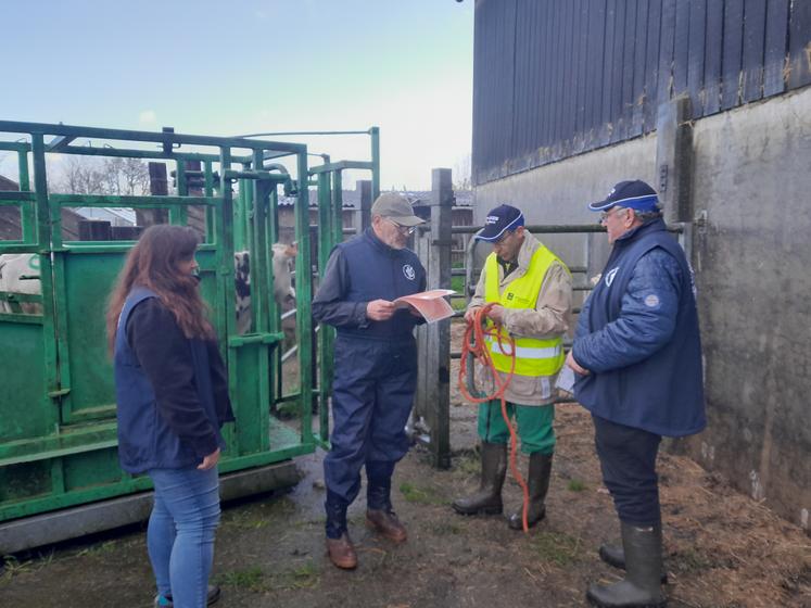 Une épreuve de manipulation bovine avec six génisses a également eu lieu dans l'après-midi. Divers exercices ont été demandés aux participants pour mesurer leurs compétences avec précision.