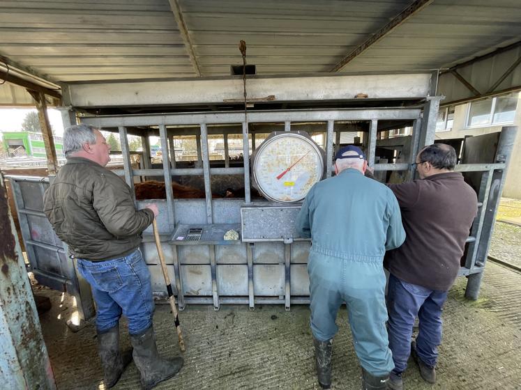 La Sicamon est en manque de bouviers sur les trois sites, Lieurey,
Saint-Pierre-en-Auge et Soligny-la-Trappe.