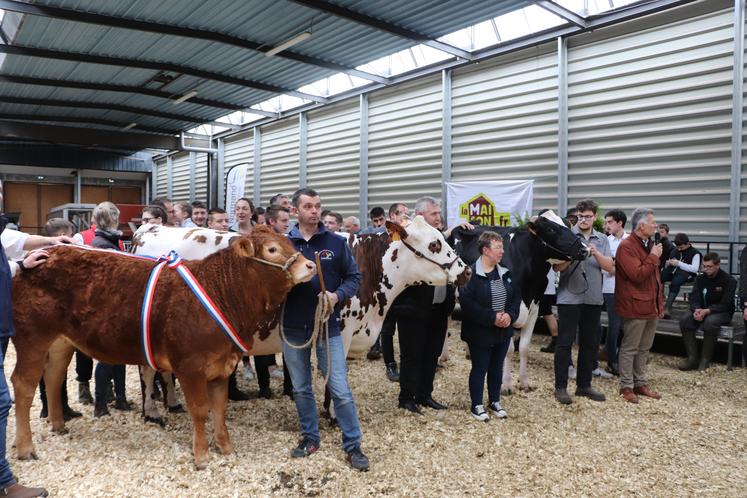 Les trois meilleurs animaux du concours à savoir Utah P (Limousine), Oly (Normande) et Barb Pacme (Prim'Holstein). 