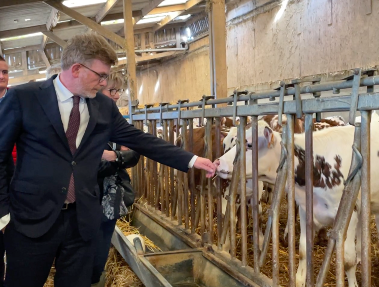 Au cours de la visite, Marc Fesneau n'a pas hésité à tendre la main à un veau normand.