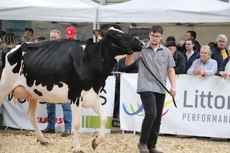 L'EARL de la Barberie remporte le titre de grande championne Prim'Holstein avec Barb Pacme. 