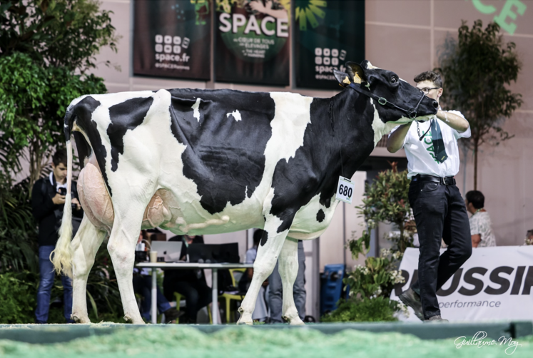 Mathéo Porée est un habitué des rendez-vous locaux tels que la foire de Lisieux, le festival de l'élevage à Vire. En 2023, il a participé au Salon international de l'agriculture, ainsi qu'au Space à Rennes.