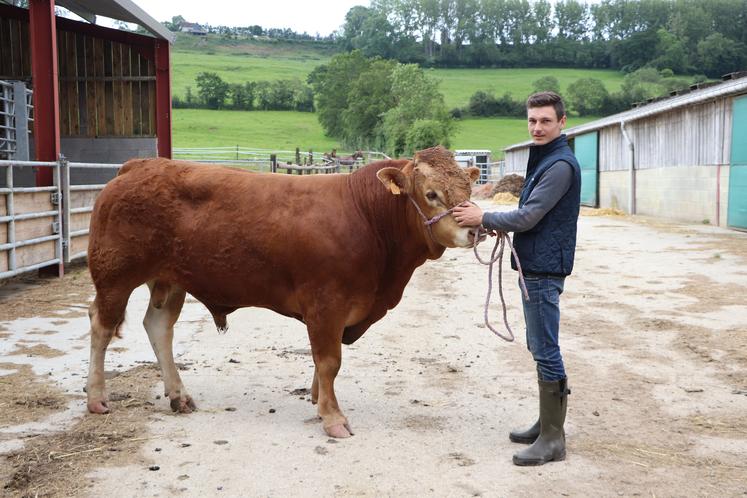 Valentin pose avec Twix Td, taureau issu de la station de Lanaud qu'il présentera à Vire ce week-end.