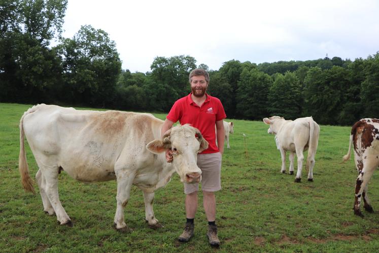 Antoine Bossuyt, président JA14, est installé en polyculture élevage à Acqueville. Il élève des volailles fermières et des Charolaises, comme Mascotte, 18 ans.