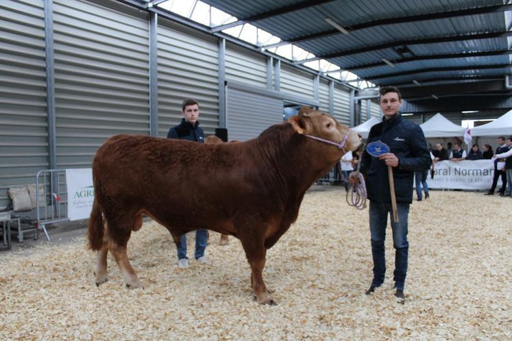 Les deux frères avec Twix Td lors de la foire de Lisieux en avril dernier.