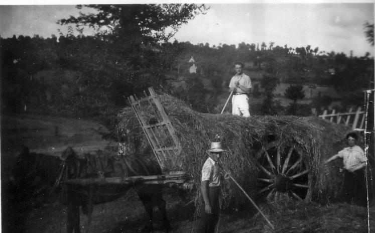 C'est la période de la moisson. La récolte des foins bat son plein malgré les combats. Réf. La récolte du foin, 1941, du côté de Vire, don Charles Cazin. AD14, 108Fi/30