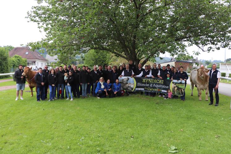 Les syndicats de race des éleveurs de Limousines et de Blondes d'Aquitaine du Calvados se sont réunis vendredi 31 mai et samedi 1er juin au festival de l'élevage de Vire.