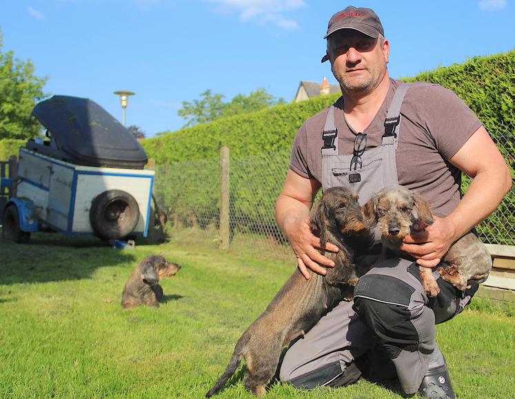 Dans le jardin de Christophe Capelle (président de l'Association des Déterreurs de l'Eure), des chiens qui s'ennuient car privés de leur activité instinctive. Et le bien-être animal dans tout cela ?