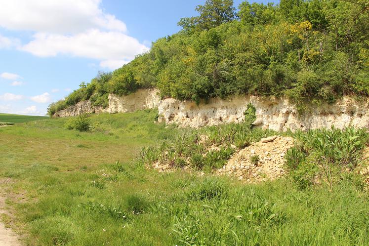 La vigne s'épanouit sur un monticule calcaire de plusieurs mètres d'épaisseur en y puisant, grâce à son système racinaire, l'eau en profondeur. À proximité, une plaine de limons profonds. Deux types d'agricultures très différents mais complémentaires sur un même territoire.