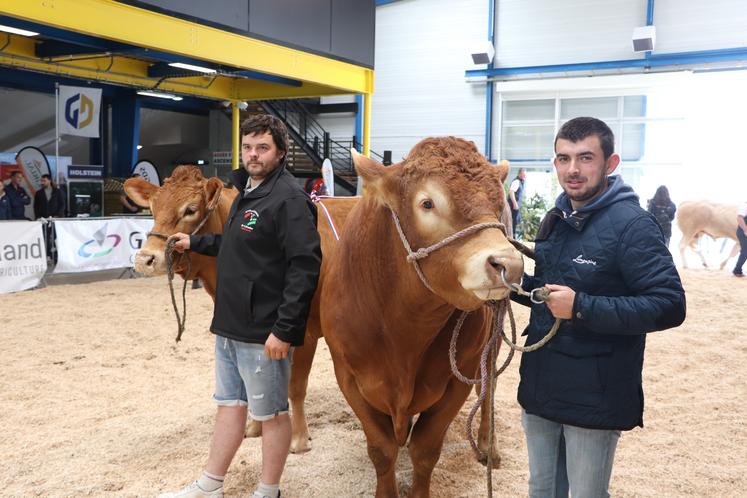 La jeunesse était aux commandes avec la relève à la présentation des bêtes, comme ici avec Nicolas Langin du Gaec de la Vicomté d'Auge et Tony Auvray du Gaec de l'Allière.