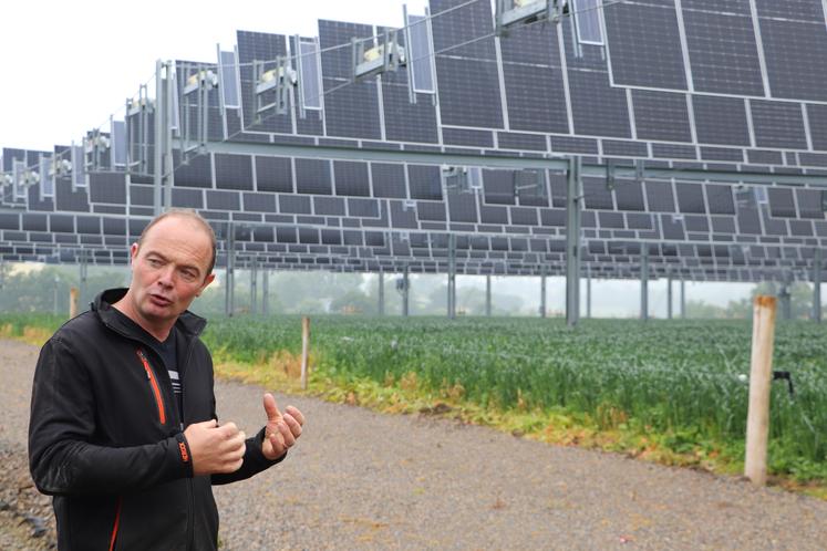 Yoann Bizet s'est lancé dans l'aventure agrivoltaïque pour le bien-être de ses vaches, en pâturage. Sur une parcelle de 6 h, des tests sont conduits par la société TSE pendant neuf ans.