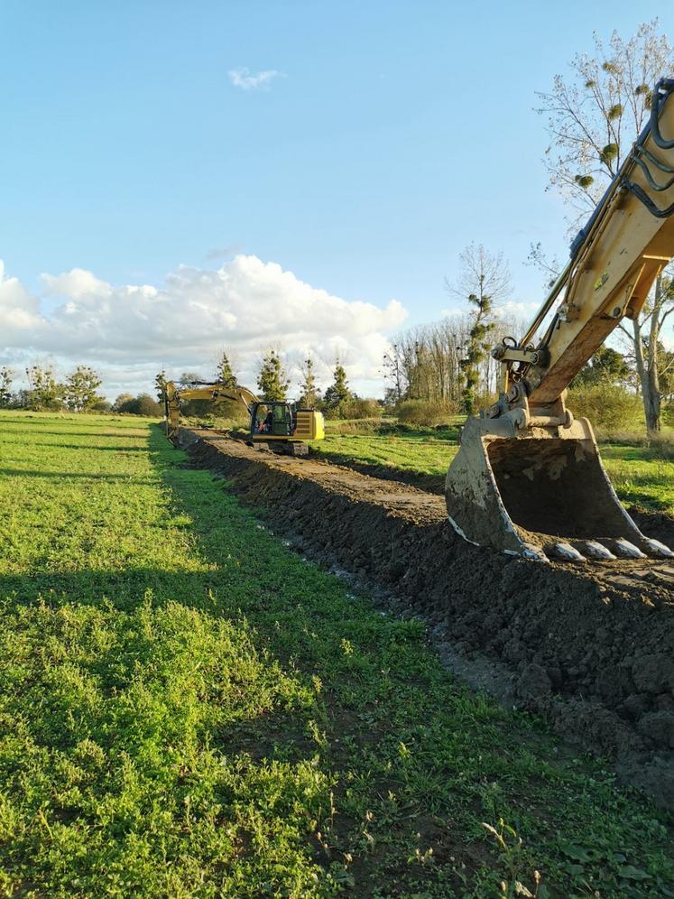 Sur talus ou à plat, les plantations de haies sont aidées financièrement par le Conseil départemental de la Manche.