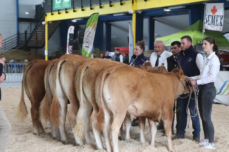 Au total, 34 Limousines, provenant de dix élevages du département, ont fait le déplacement. Le Gaec de la Vicomté d'Auge, venant de Clarbec, a fait trois heures pour participer à ce temps fort.